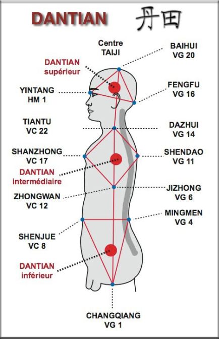 dantien diagram
